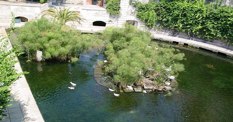 Fonte Aretusa - Siracusa (IT)