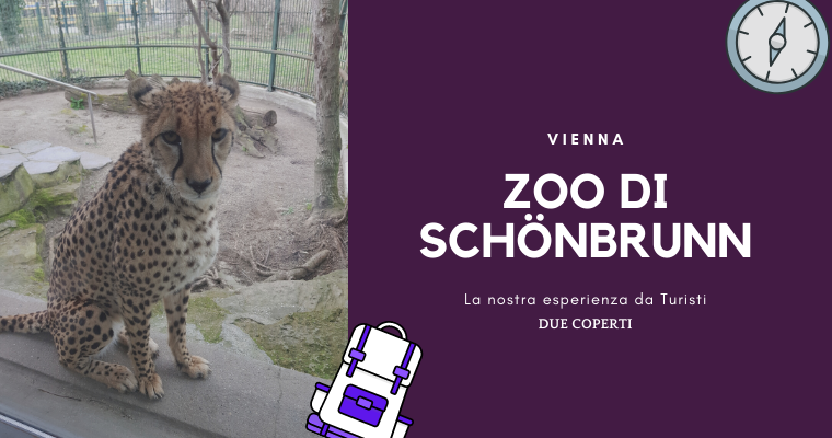 Zoo di Schönbrunn di Vienna: La nostra esperienza da turisti